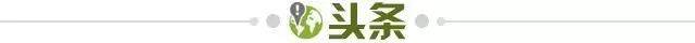 球迷互动平台-【早报】力拼澳大利亚！女足今日冲击亚洲杯决赛！